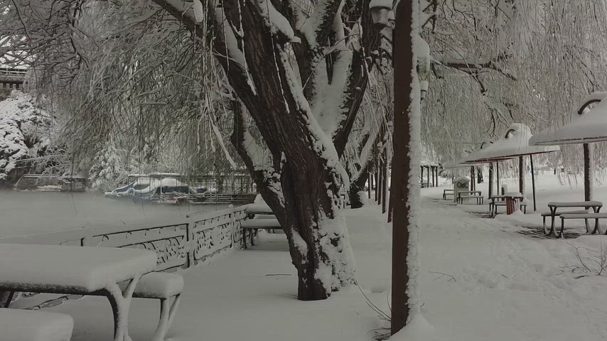 karlı göl, kış manzarası, karla kaplı ağaçlar, göl kenarı park, kar yağışı, karlı doğa