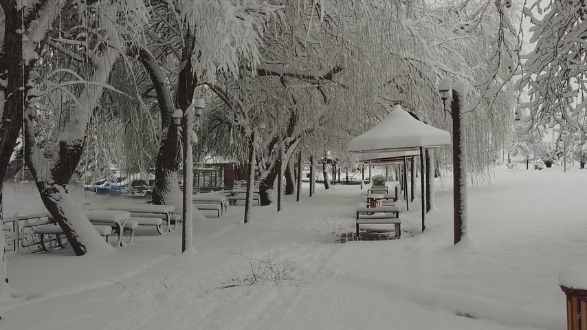 Karlı park, kış manzarası, karla kaplı ağaçlar, göl kenarı, kış doğası, yoğun kar