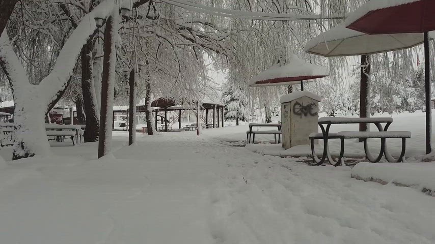 Karlı park manzarası, karla kaplı ağaçlar, kış parkı, kar yağışı, kar altında banklar