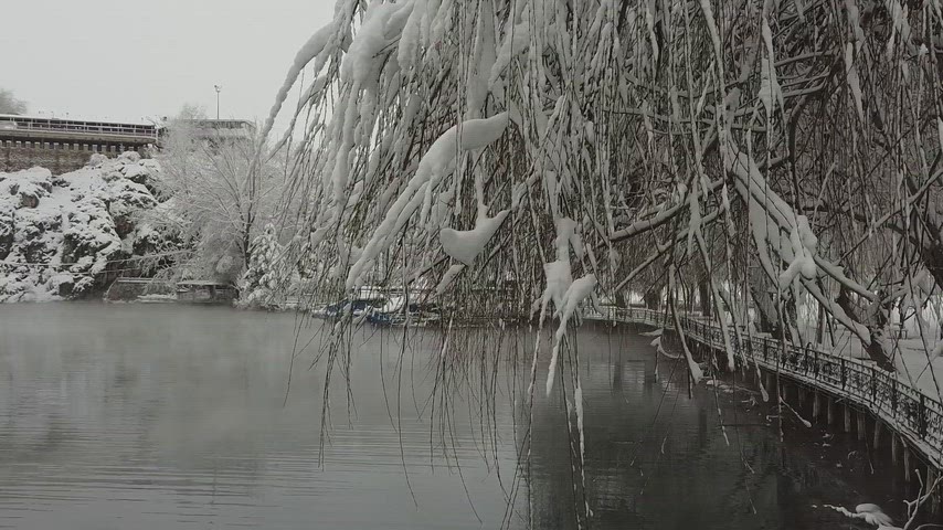 Karlı gölet, karla kaplı ağaçlar, kış manzarası, söğüt ağaçları, kar yağışı, doğa, gölet manzarası, kış doğası