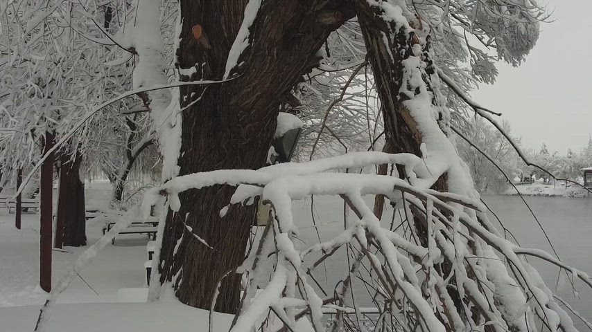 Elbistan kış manzarası, kar yağışı, karla kaplı göl, kış doğası, Kahramanmaraş kar manzarası