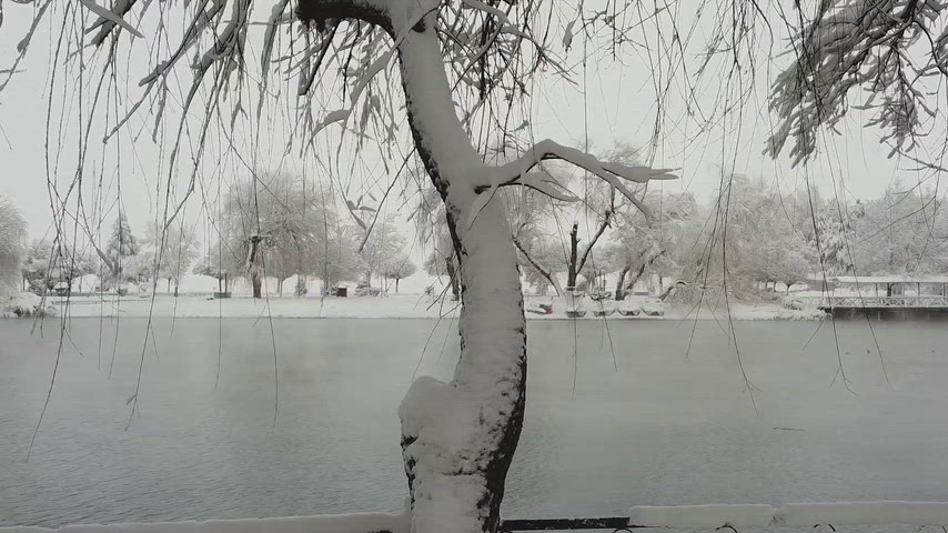 Elbistan kar manzarası, karlı göl, kış doğası, söğüt ağaçları, kar yağışı, kış parkı