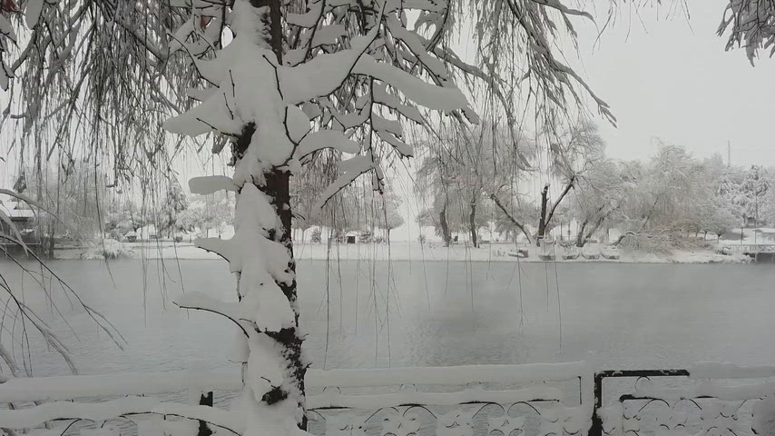 Elbistan göl manzarası, karlı söğüt ağacı, kış manzarası, karla kaplı park, Elbistan kar görüntüsü