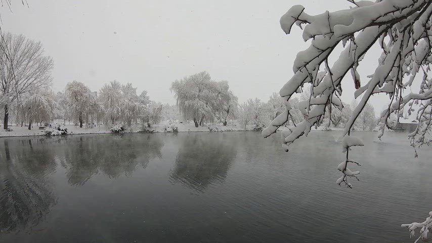 karlı göl manzarası, kış manzarası, karla kaplı ağaçlar, göl yansıması