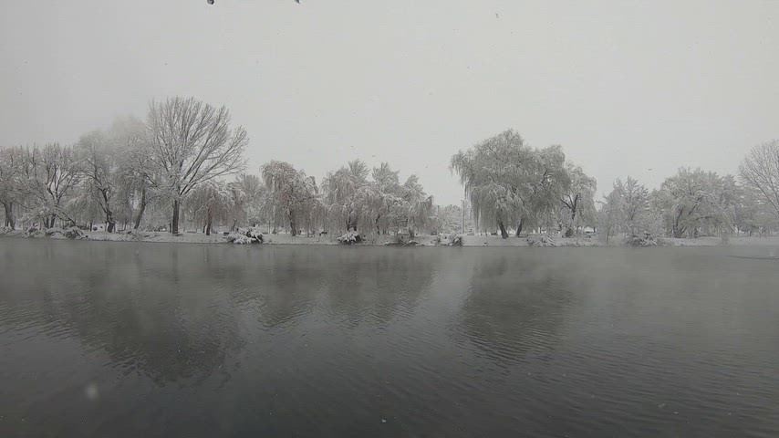 Karlı ağaçlar ve göl, kış manzarası, karla kaplı doğa, karlı göl, kış doğası