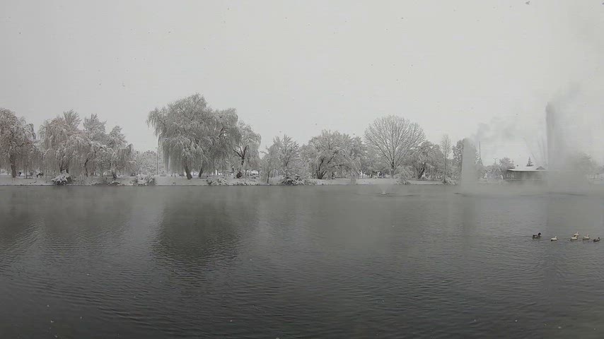 karlı göl manzarası, kış parkı, su fıskiyesi, ördekler, kar yağışı