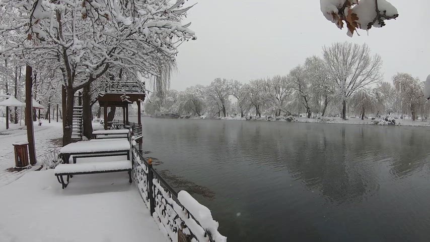 Karla kaplı göl, kış manzarası, karlı park, ördekler, kar yağışı, doğa, kış, göl manzarası