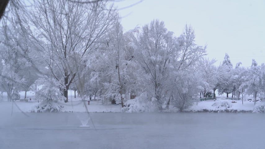 Karlı park, kış manzarası, karla kaplı ağaçlar, göl, kar yağışı, doğa, beyaz kış manzarası