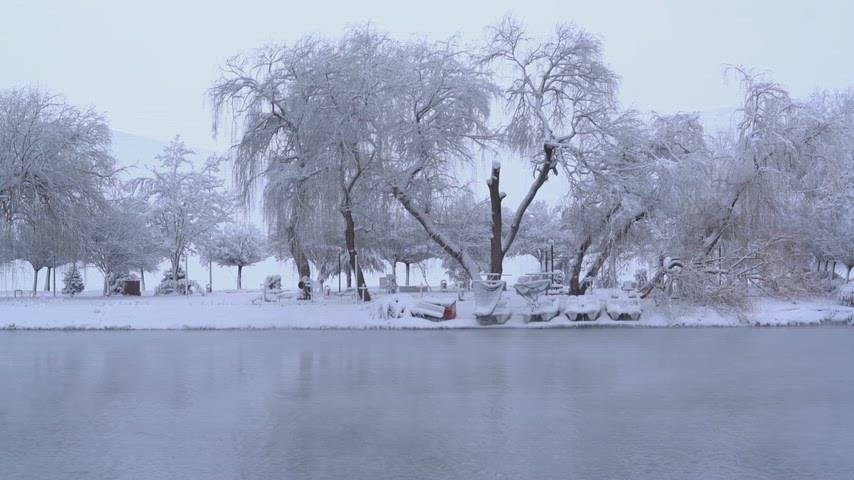 Elbistan Göletli Park, karlı park, gölet manzarası, kış doğası, karla kaplı ağaçlar