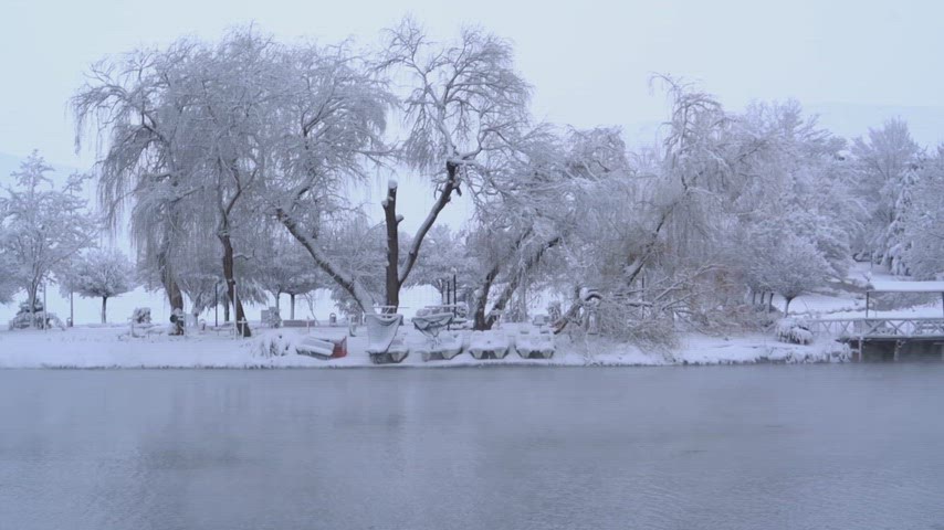 Elbistan Göletli Park, karlı park, gölet manzarası, kış doğası, karla kaplı ağaçlar