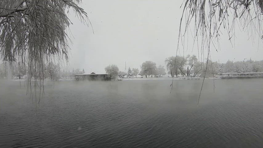 Elbistan Göletli Park, karlı gölet manzarası, söğüt dalları, kış parkı, kar yağışı