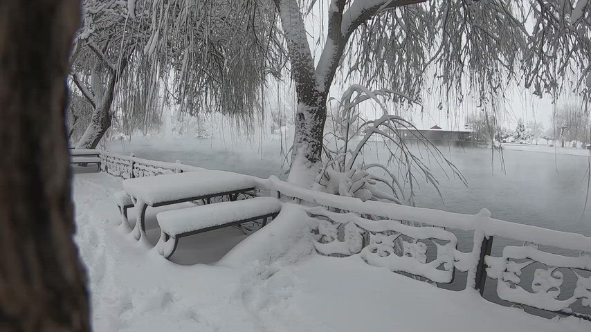 Karla kaplı park göletinde söğüt ağaçları ve kış manzarası