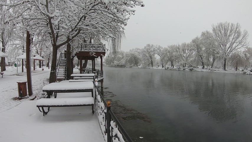 Karlı göl kenarı park manzarası, kış, kar yağışı ve doğa