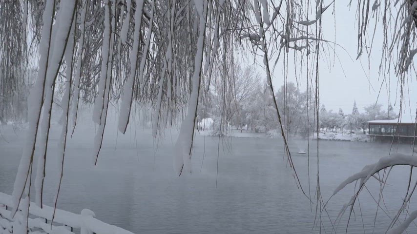 Karlı gölet, karla kaplı söğüt ağaçları, kış manzarası, karlı doğa, gölet manzarası, kar yağışı, kış parkı, sisli manzara,