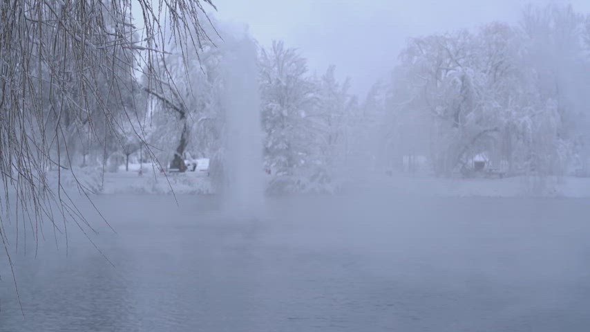 kar örtüsü, ağaçlar, doğal manzara, kış atmosferi, sisli kış
