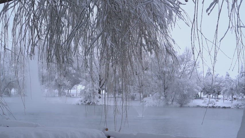 akin doğa, buz, kar yağışı, karlı ağaçlar, huzurlu manzara, kış atmosferi