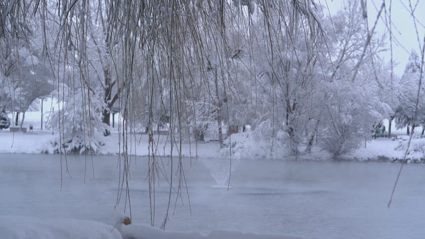 buzlu göl, karlı ağaçlar, huzurlu manzara, beyaz doğa, kış atmosferi