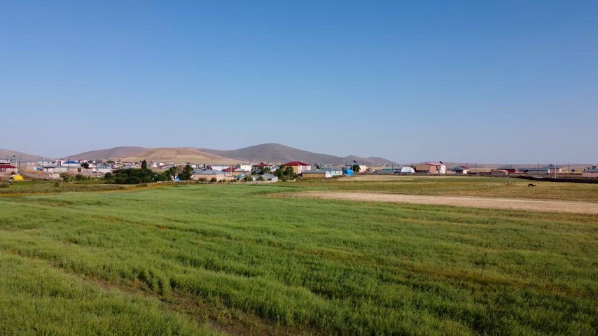 Kars Arpaçay Karakale köyü tarım arazileri, kırsal Anadolu manzarası ve drone görüntüsü