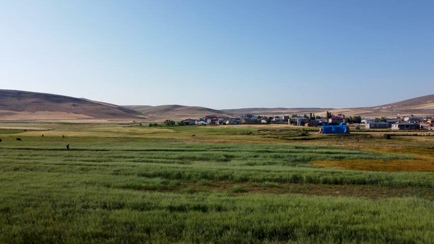 Kars Arpaçay Karakale köyü, tarım arazileri ve kırsal Anadolu manzarası