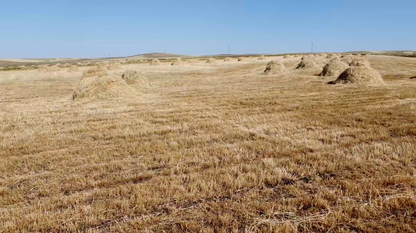 Kars ovasında kuru ot yığınları, biçim sonrası tarım arazisi ve Doğu Anadolu kırsalı