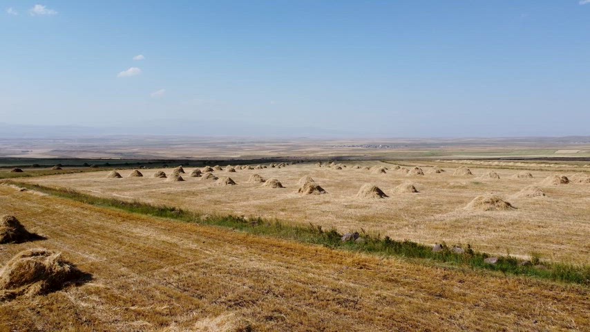 tarım arazisi, saman yığınları, hasat, çiftçi, kırsal yaşam, tarımsal üretim, tarla, saman, tarım, havadan çekim