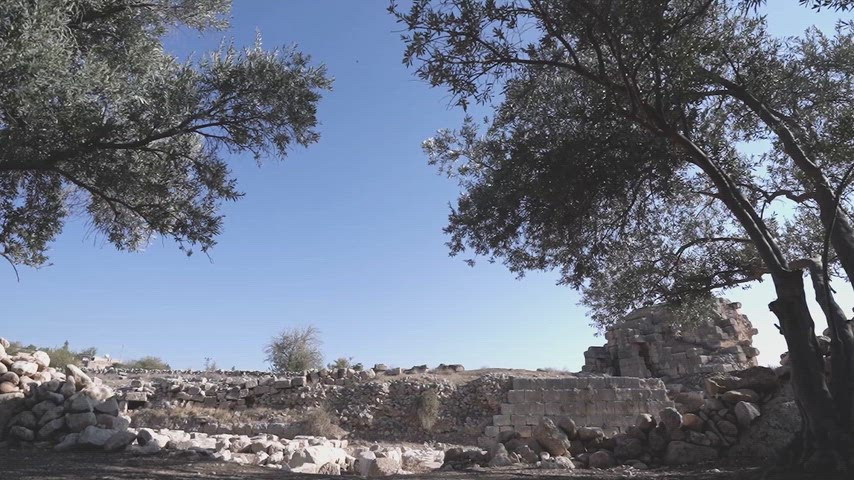 Dara Antik Kenti zeytin ağaçları ve antik taş yapı kalıntıları, Mardin tarihi ve arkeolojik alanı.