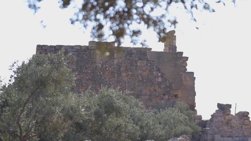 antik taş yapı, tarihi kalıntılar, zeytin ağaçları, arkeoloji