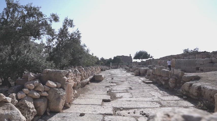 Dara Antik Kenti restorasyon çalışmaları, tarihi taş yol