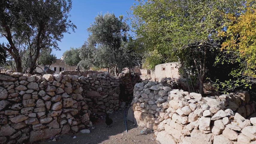 Mardin Dara köyü, taş evler, geleneksel köy yaşamı, Mardin köyleri, taş duvarlar, Güneydoğu Anadolu
