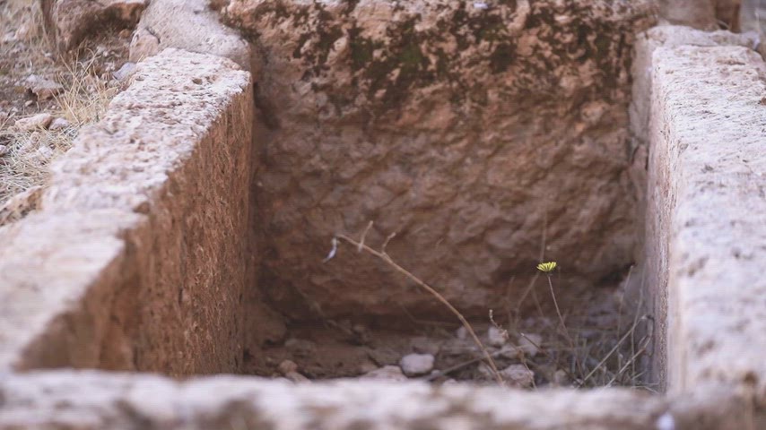 Dara Antik Kenti taş mezar, lahit kalıntısı, antik mezarlık, Mardin arkeoloji