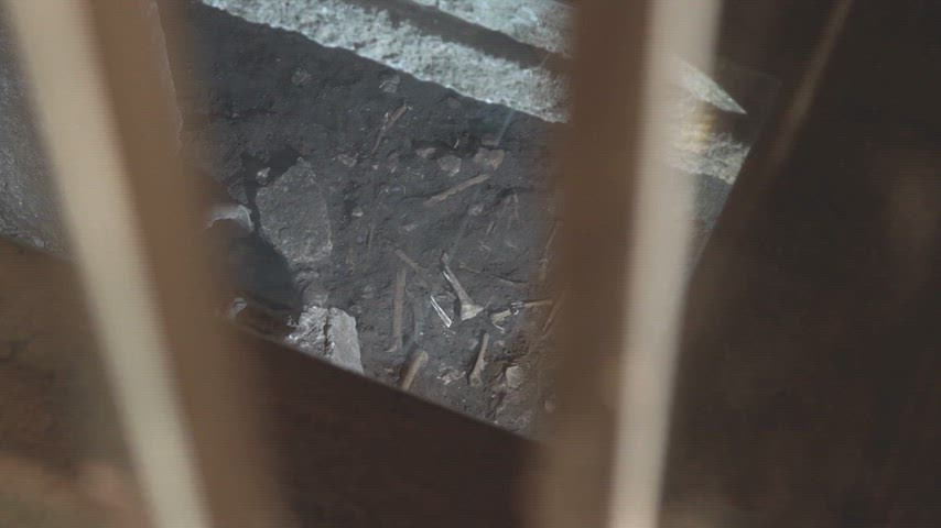 Dara Antik Kenti kemik kalıntıları, Dara nekropolü, Mardin arkeoloji, antik mezarlar