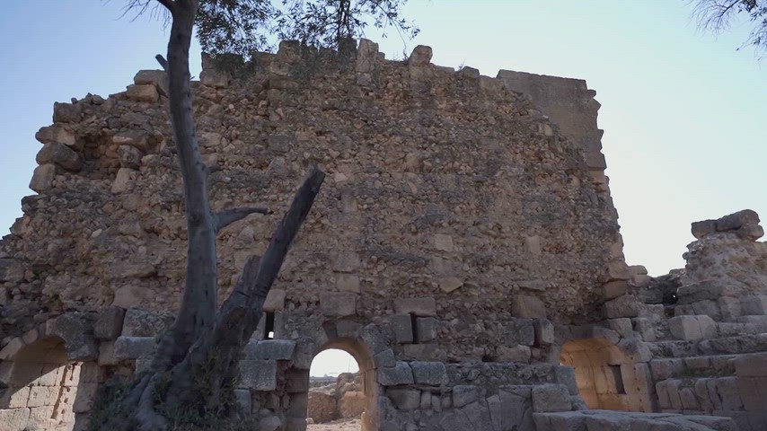 Dara Antik Kenti, antik yapı, tarihi kalıntılar, taş duvar, arkeoloji