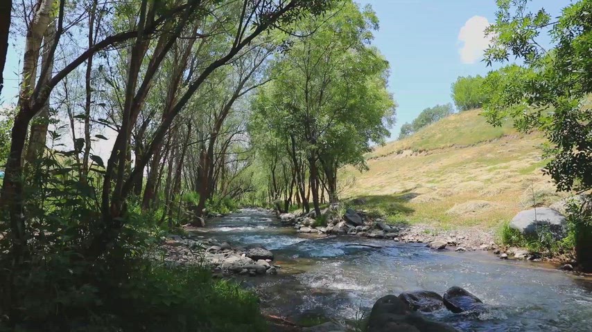 Murat Nehri, Muş, akarsu, doğa, nehir, yeşil alan, doğal manzara, su, dere, Türkiye