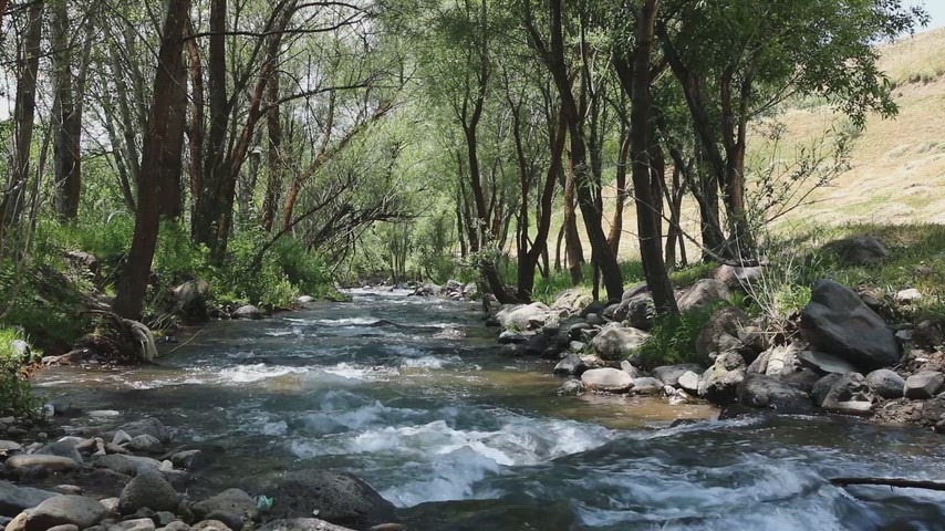 Muş akarsu manzarası, doğal dere, ağaçlık alan, akan su, doğa manzarası,