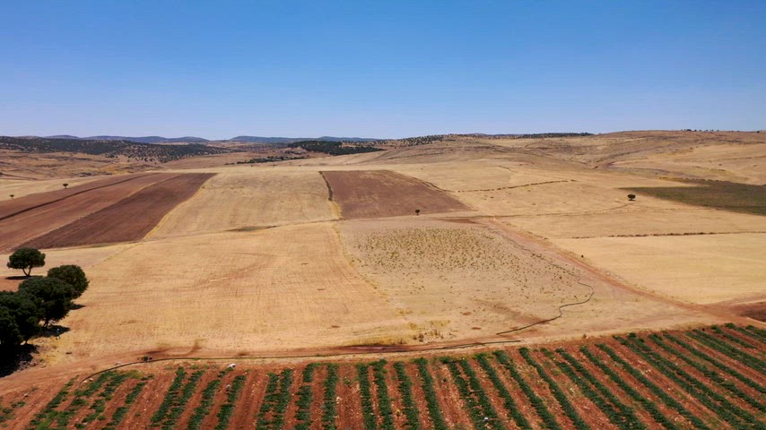 Mardin Mazıdağı, tarlada çalışan emekçiler, tarım, çiftçilik, tarımsal üretim