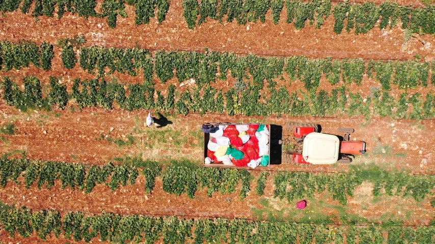 Mardin Mazıdağı, tarım emekçileri, tarla, tarım makinesi, çiftçilik