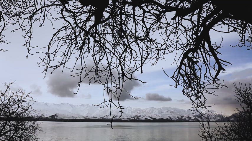 Van Gölü, karlı dağlar, kış manzarası, ağaç dalları, göl kıyısı