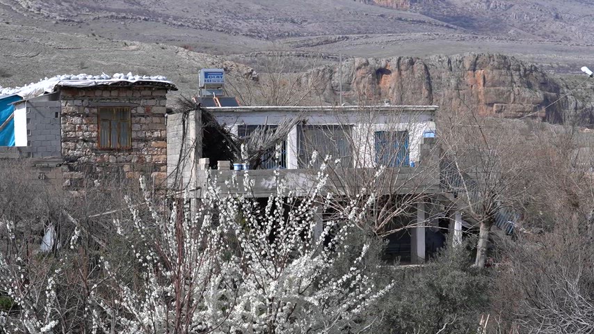 Adıyaman’ın sarp coğrafyasında, ön planda bembeyaz çiçek açmış bir bahar.  Arkada, düz damlı taş köy evleri doğayla bütünleşmiş halde. En geride ise bölgenin karakteristik dik kayalıkları ve boz tepeleri, bu huzurlu Anadolu tablosuna görkemli bir fon oluşturuyor.