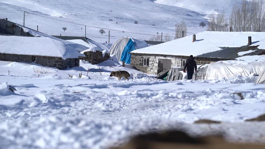 Doğu Anadolu’nun yüksek rakımlı kırsal bölgelerinde çekilmiş etkileyici bir kış manzarası. Karla kaplı taş evler, zorlu hava koşullarına rağmen devam eden gündelik yaşamı ve bölgenin sert doğasını yansıtıyor.
