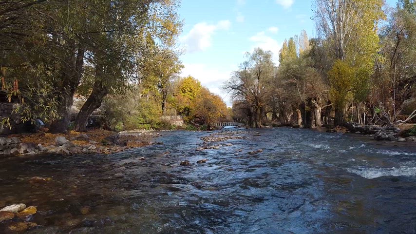 A pond surrounded with woods.