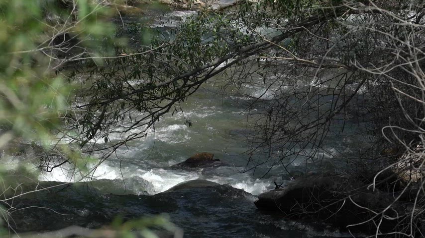 Tortum çayı tev vadisi ile gölün kuzey ucu arasındaki heyelan kütlesini aşarak dökülmesiyle oluşmaktadır.